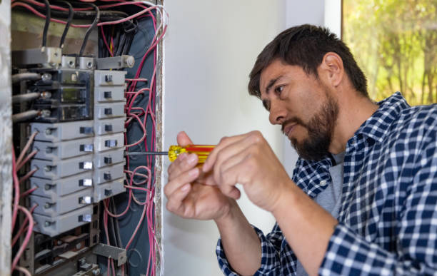 Best Electrical Repair Services  in Three Rivers, MI